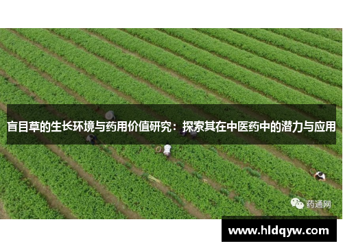 盲目草的生长环境与药用价值研究：探索其在中医药中的潜力与应用